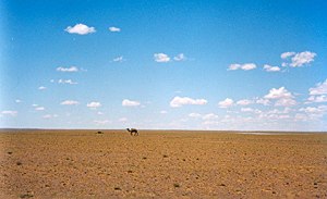 Gobi_OmnogoviLandscape